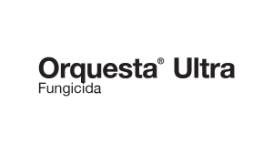 Orquesta Ultra