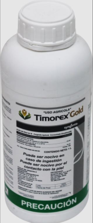 Timorex Gold