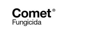 COMET 