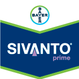 SIVANTO PRIME SL200