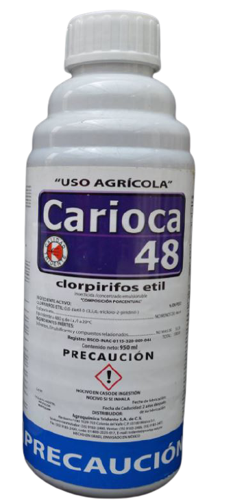 Carioca 480