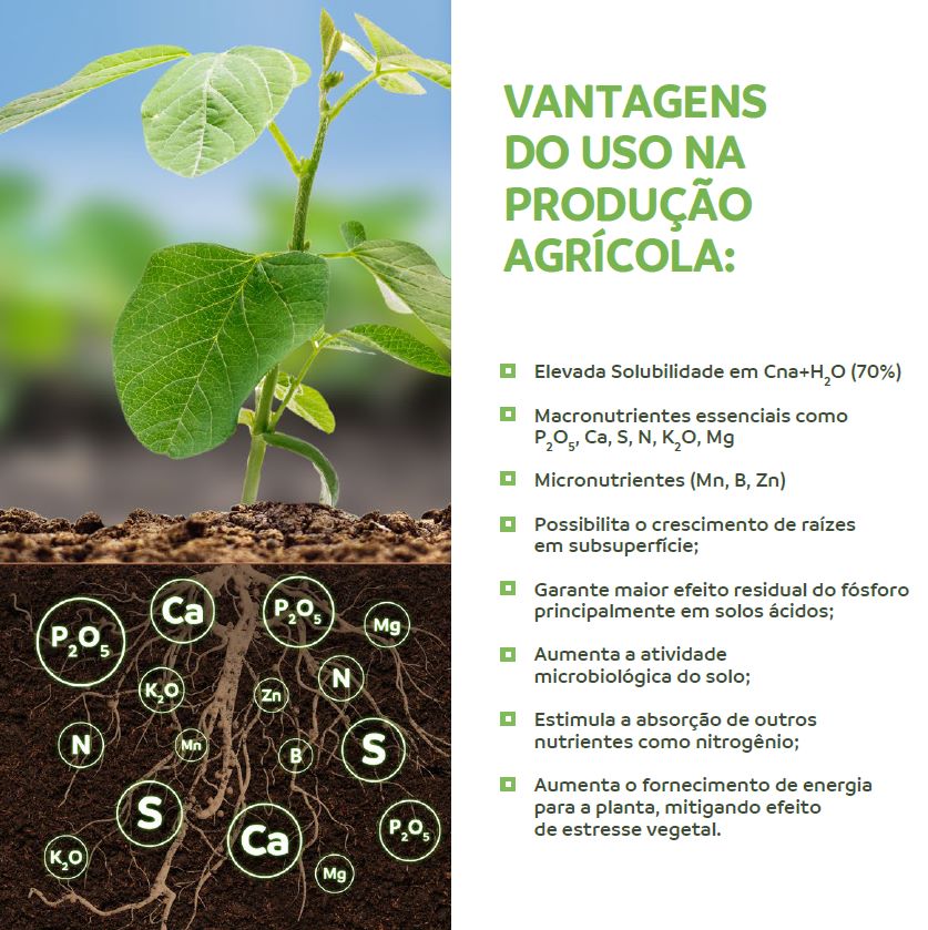 Fertilizante Fosfatado 15% P+13% Ca+3% S + Micros (alternativa a super simples, MAP, NPK) - 3