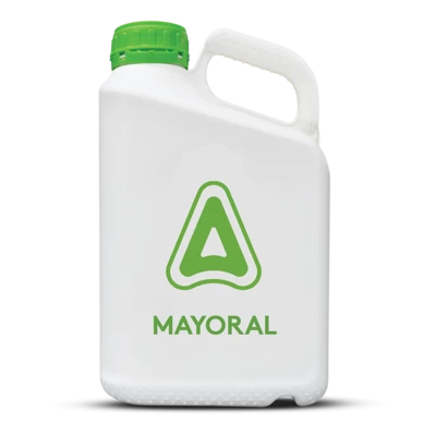 MAYORAL