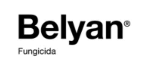 BELYAN 10L 