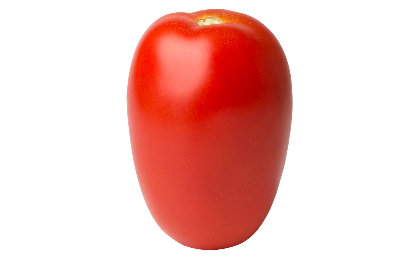 Tomate Matinella