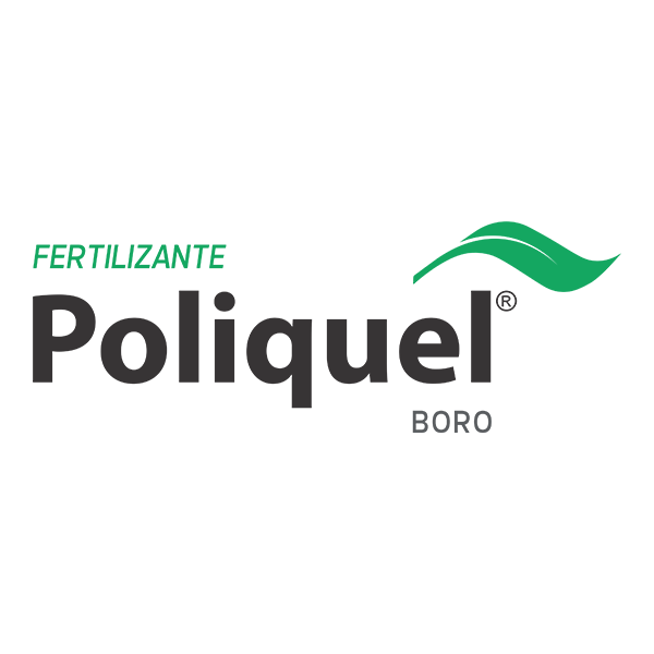 POLIQUEL BORO