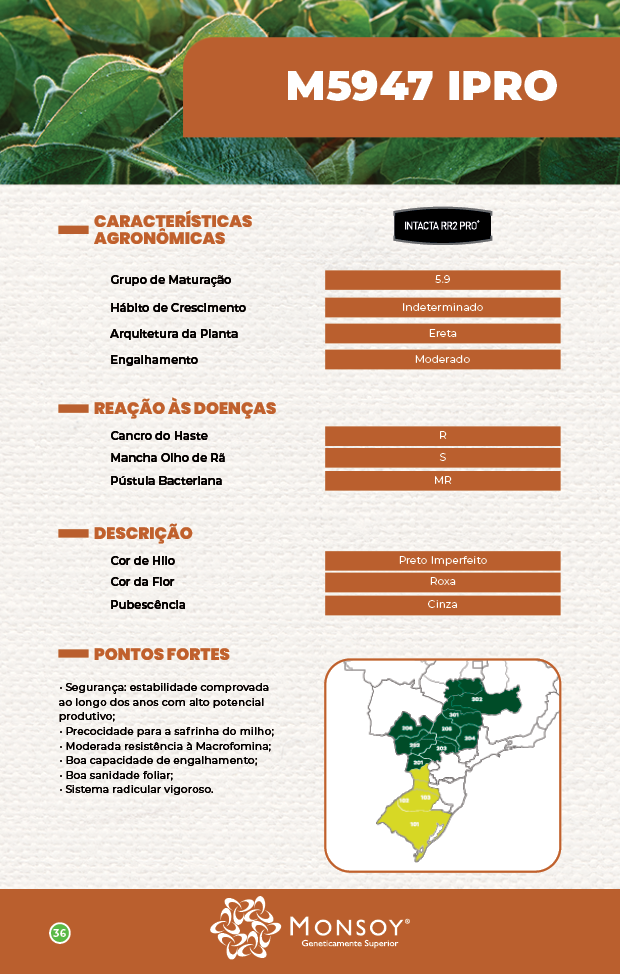 Semente de Soja Monsoy M5947 IPRO (TSI) - 1