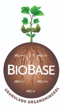 BIOBASE LEG NORTOX 1000KG