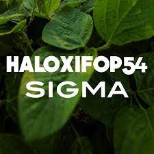 HALOXIFOP 54 