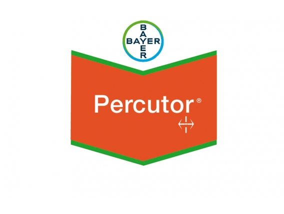 Percutor (1 x 900 gr)