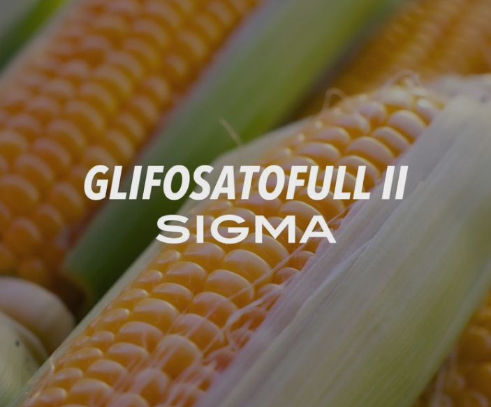 GLIFOSATO FULL II 