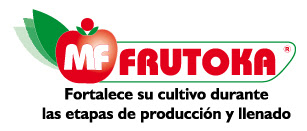 FRUTOKA