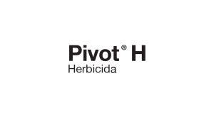 Pivot H