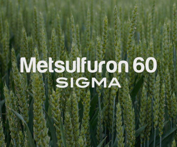 METSULFURON 60