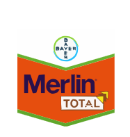 Merlin Total