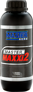 Master Maxxi 2