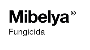 Mibelya