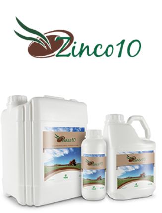 ZINCO 10