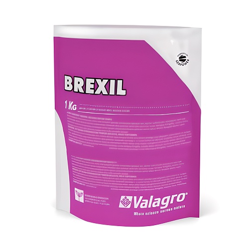 BREXIL TOP 