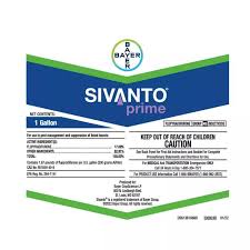 SIVANTO PRIME