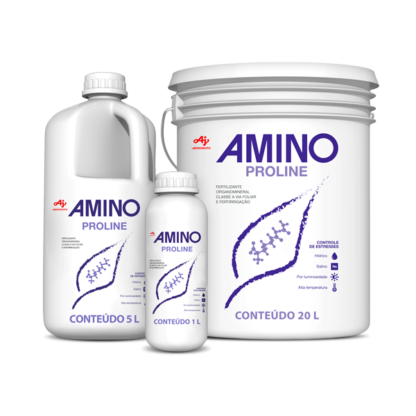 AMINO PROLINE