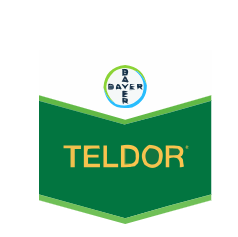 Teldor